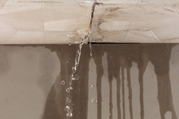 Professional Structural Drying technician working in Caledonia, MI